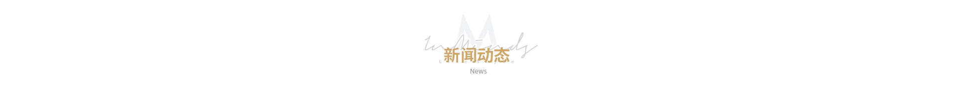新闻动态