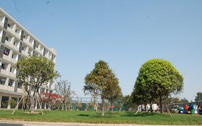 Yongkang Qiujing Heat Treatment Plant
