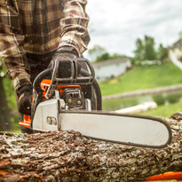 Petrol chain saw