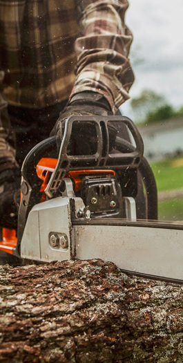 Petrol chain saw