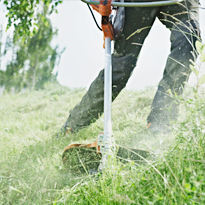 Brush Cutter