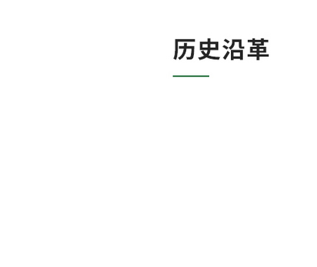 网络科技有限公司