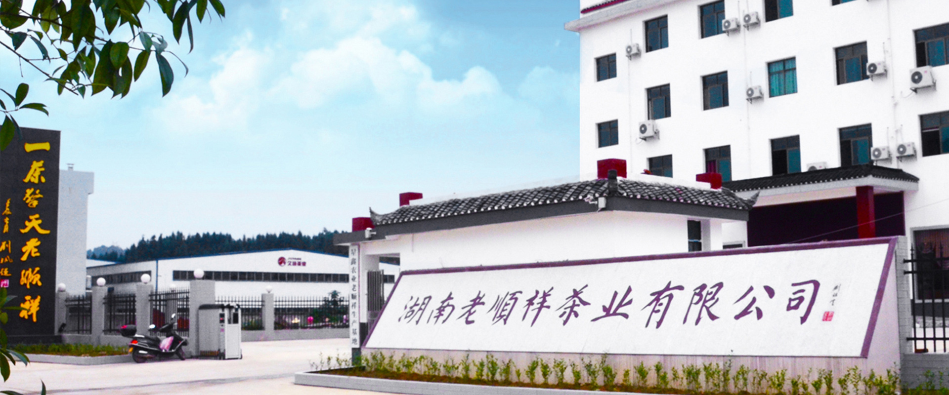 公司图片