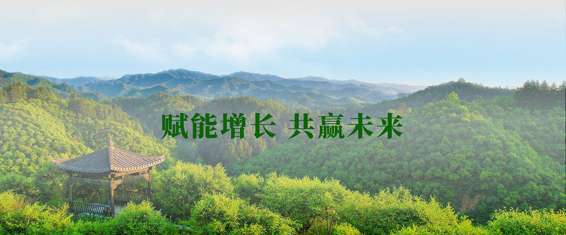 公司图片