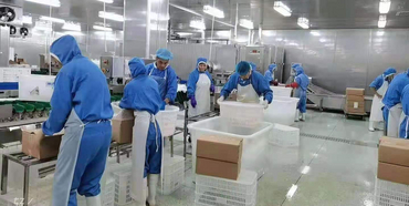 福建闽厝味供应链管理有限公司