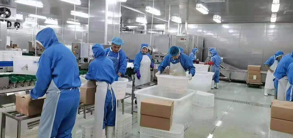 描述三