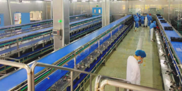 Fujian Mincuowei Supply Chain Management Co.,Ltd