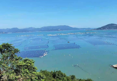 宣传视频-黄鱼鲞