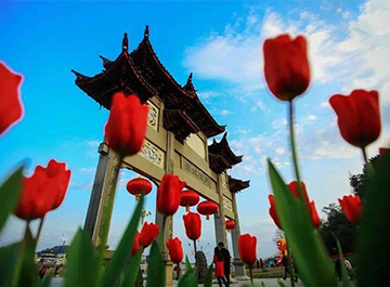 中洲公园图片描述2