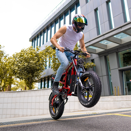 Electric Bike