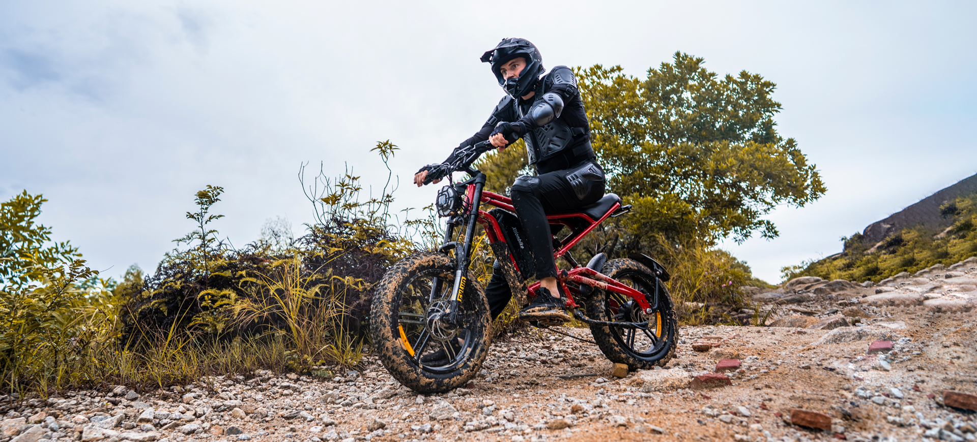 Electric Bike