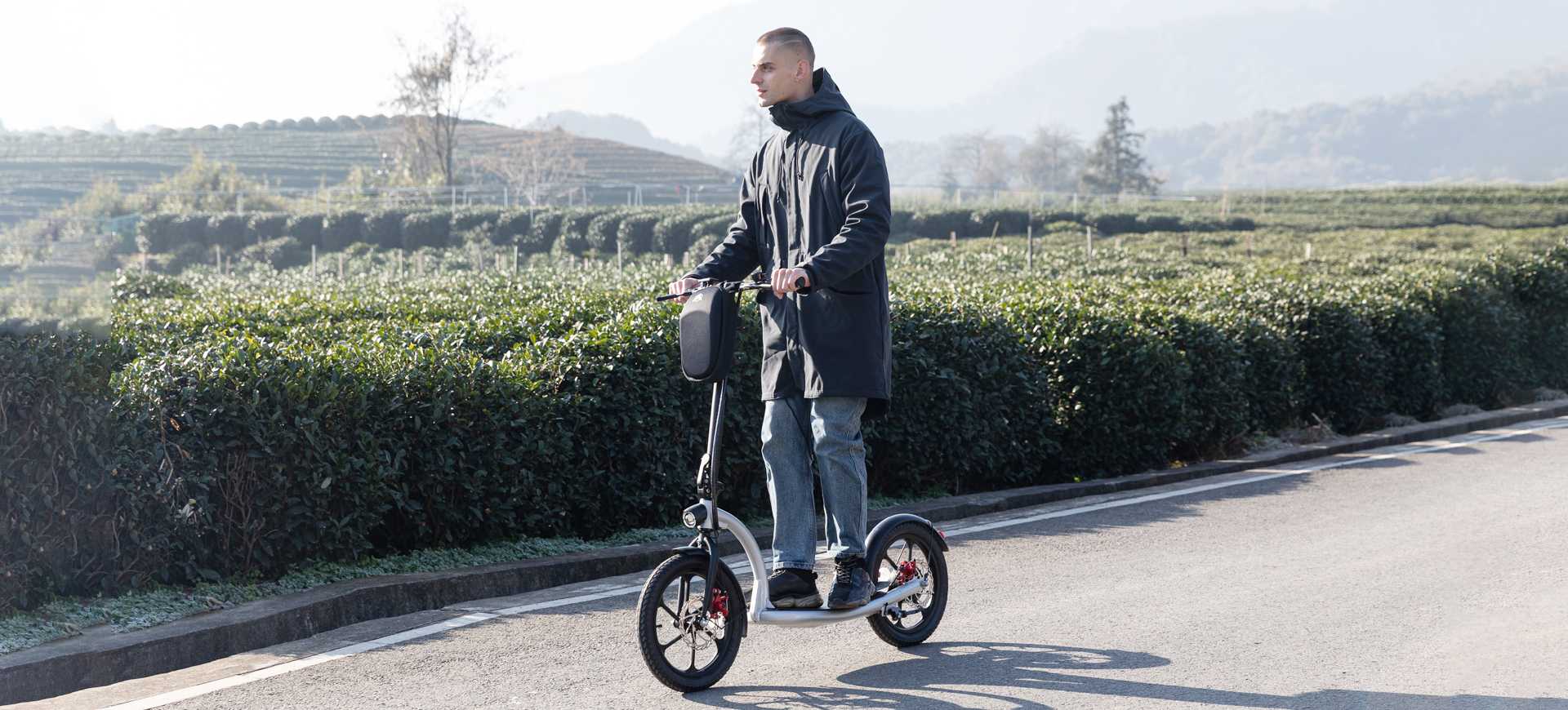 Electric Scooter