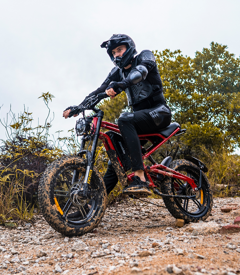 Electric Bike