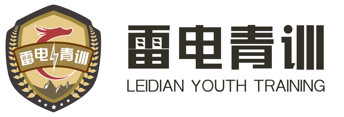 www leidianqingxun com