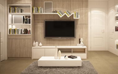 Universal Plasma/LCD TV Wall Mount