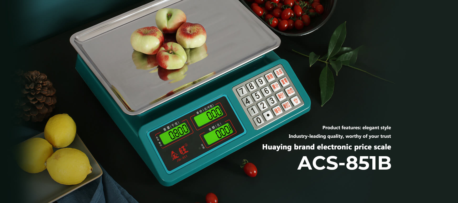 Electronic pricing scale ACS-851B