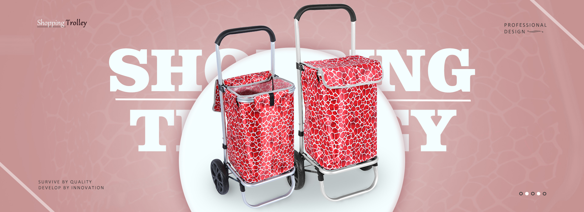 Shopping Trolley