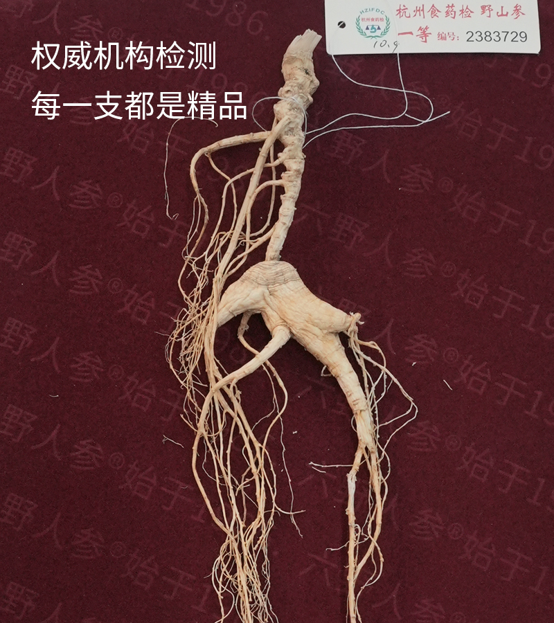 杭检参/国检参