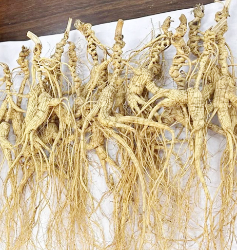 网络科技有限公司
