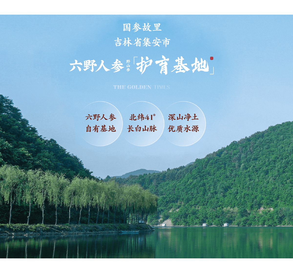杭州六野人参科技有限公司