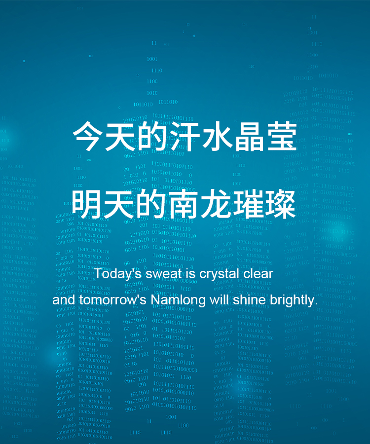 南龍集團有限公司