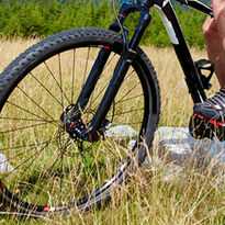 
Bicycle Tires