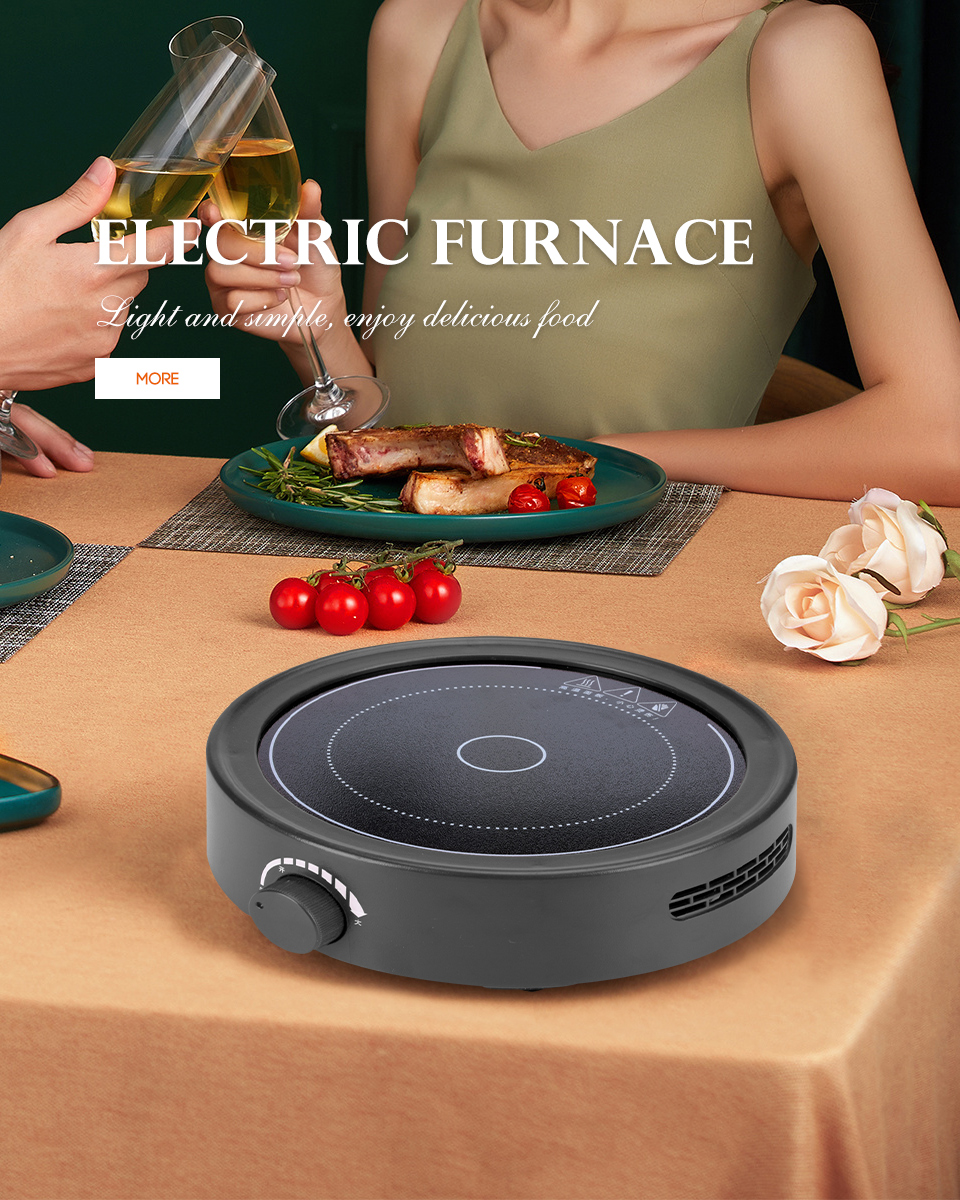 ELECTRIC FURNACE