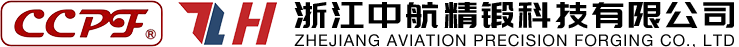 浙江中航精锻有限公司