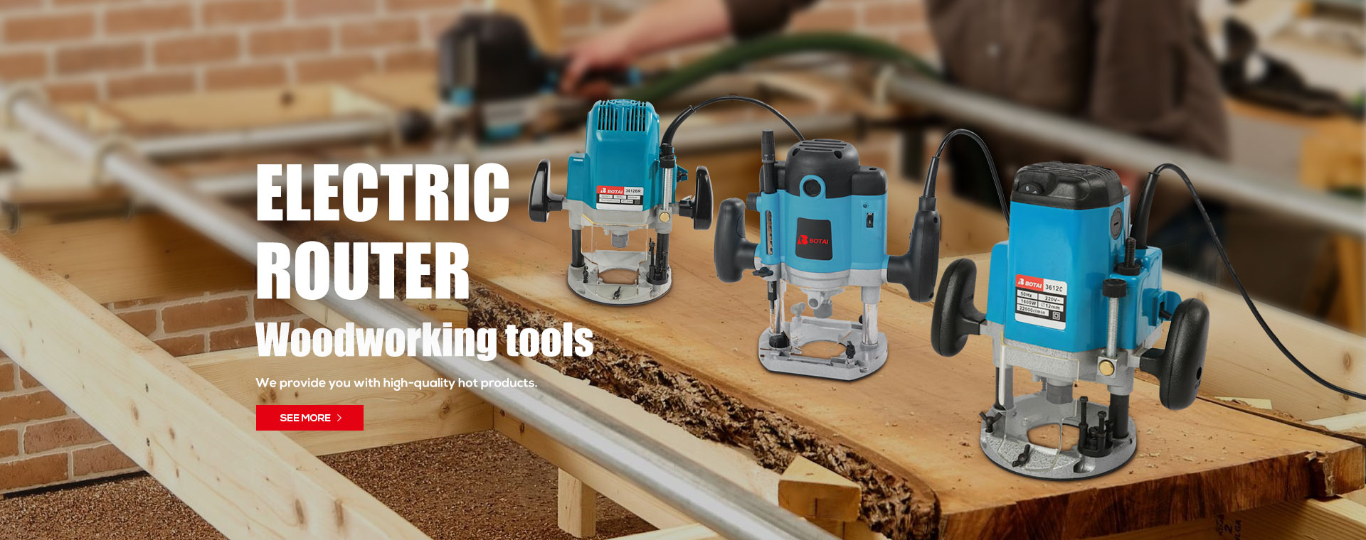 Electric Router