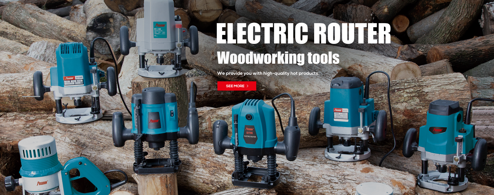 Electric Router