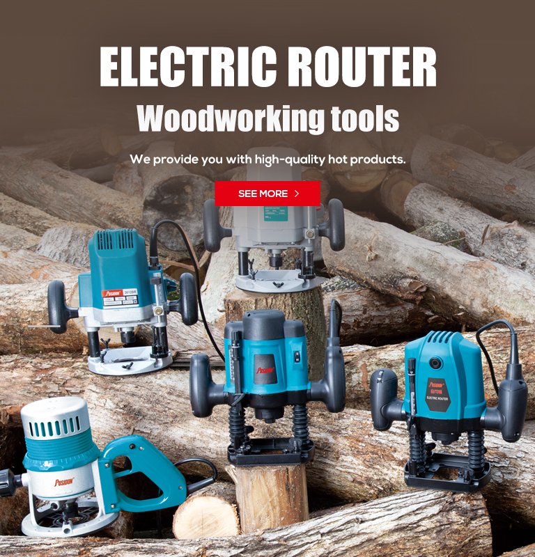 Electric Router