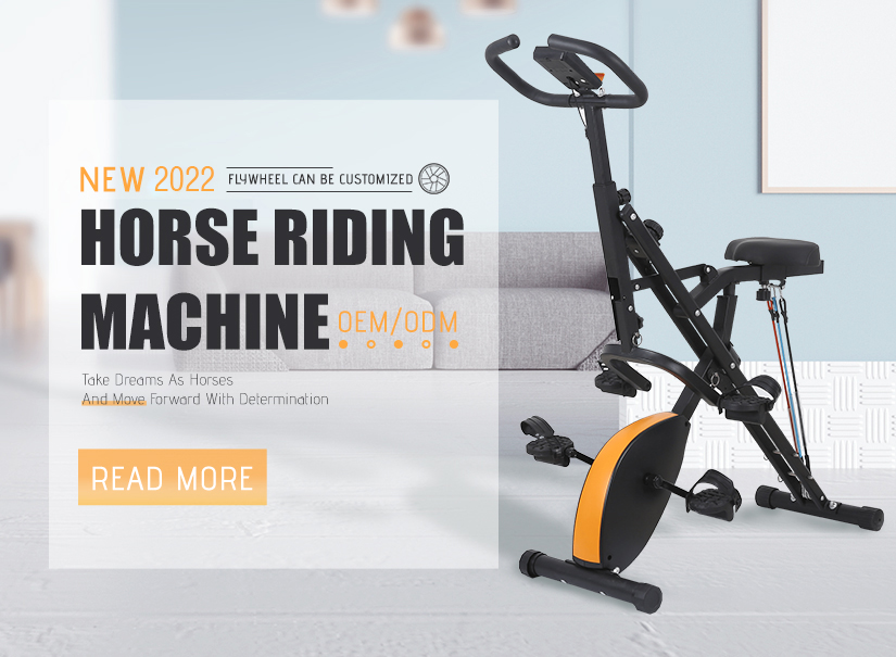 Horse riding machine