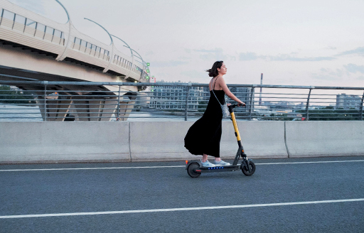 Electronic scooter