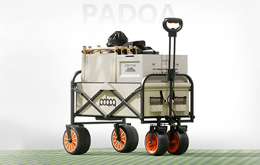 Electric wagon 