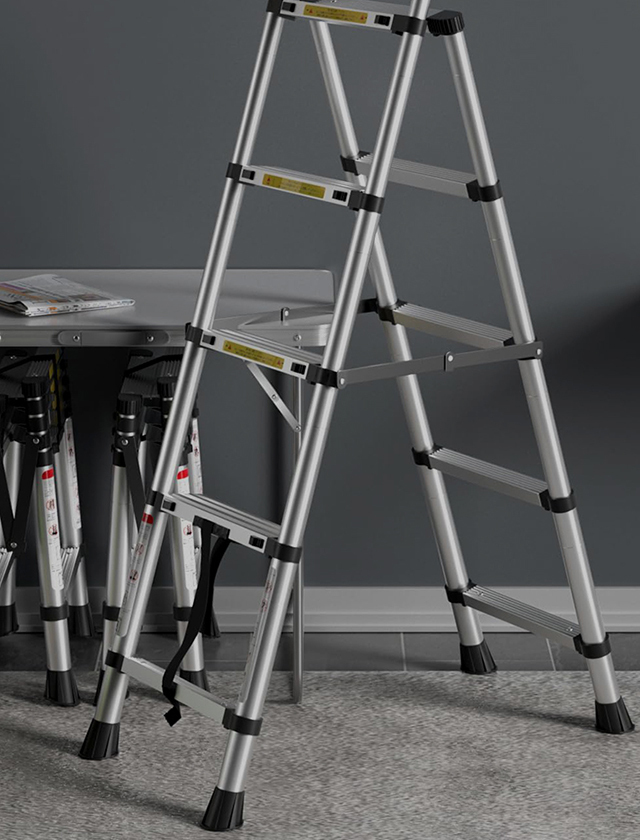 LADDERS